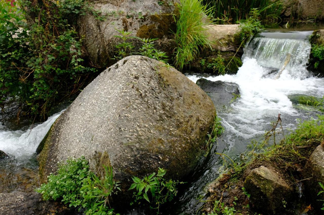 Refugio House Natura Moinho De Agua - Eco House Guimarães Extérieur photo